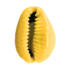 cauri.png